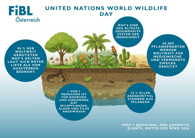 Grafik zum World Wildlife Day 2026
