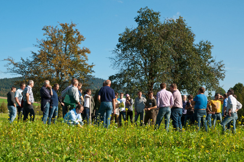 Menschengruppe am Feld