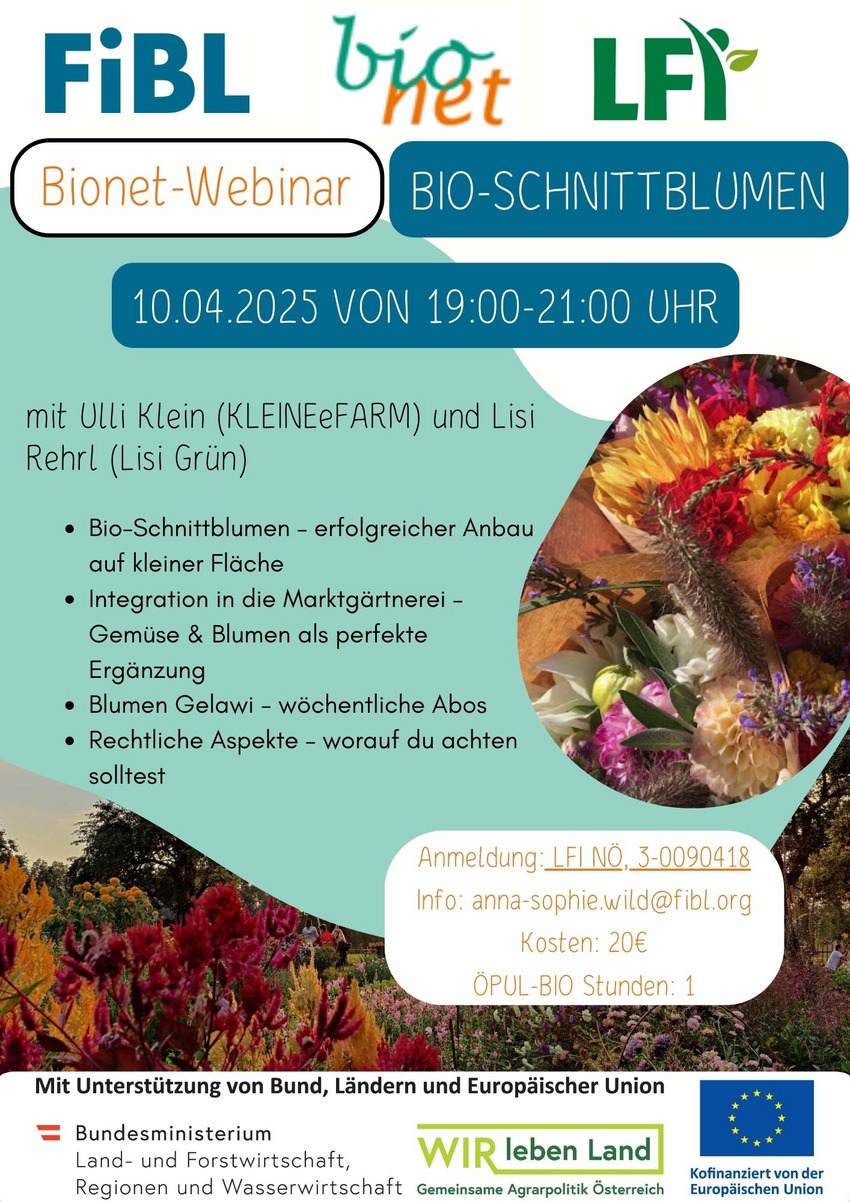 Einladung Webinar