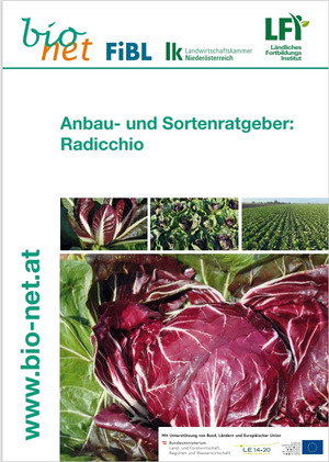 Titelseite Broschüre