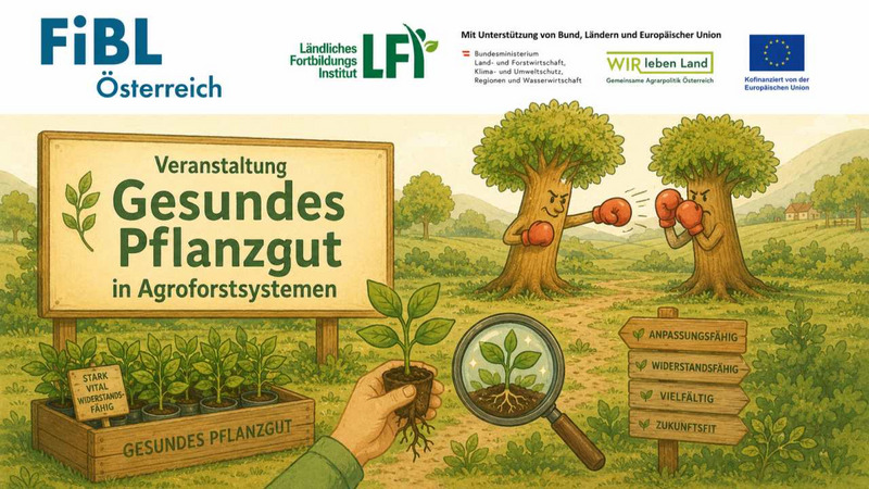 Bild zur Einladung