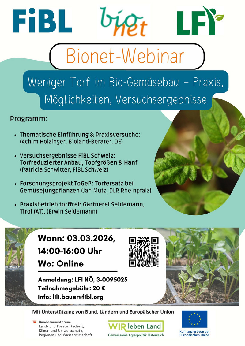 Einladun Webinar