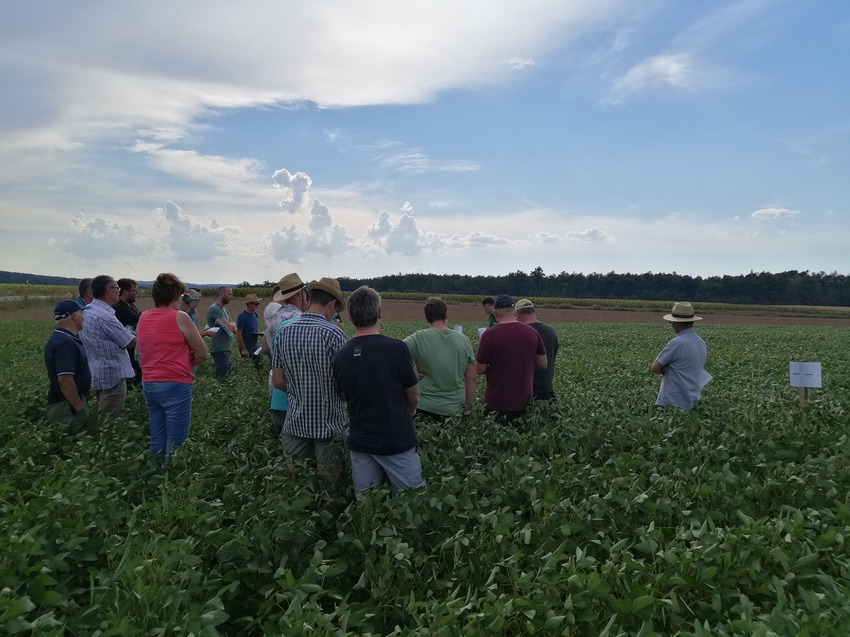 Menschen am Feld