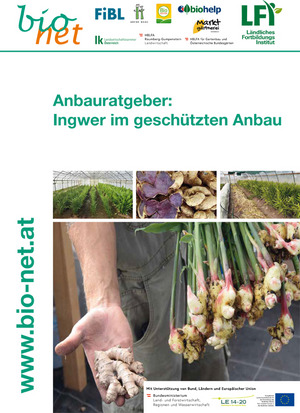 Titelbild Broschüre