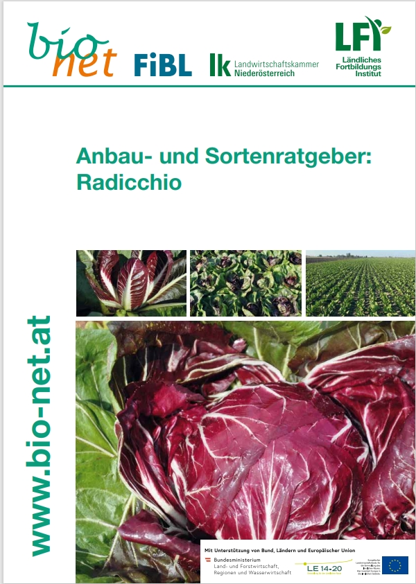 Titelseite Broschüre.