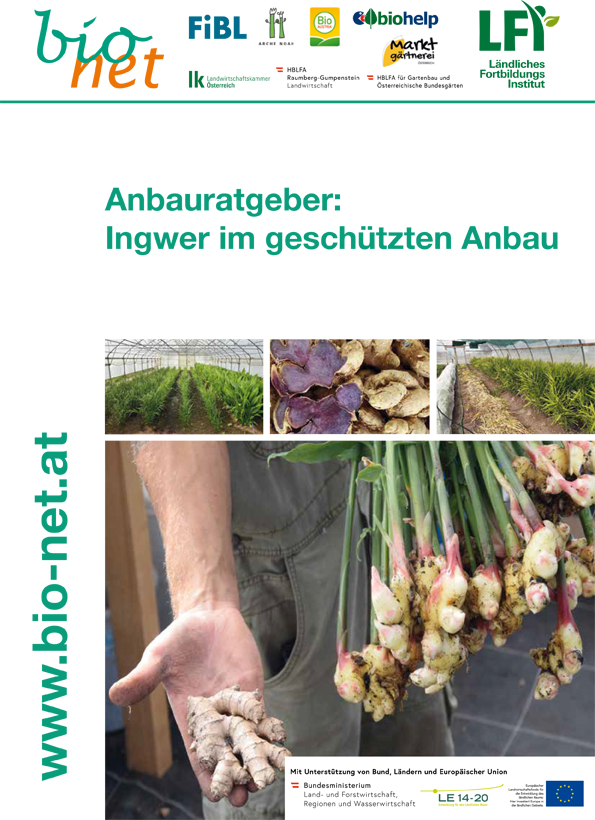 Titelbild Broschüre