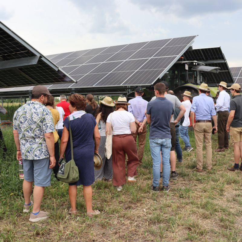 Besucher*innen Agri-PV Anlage